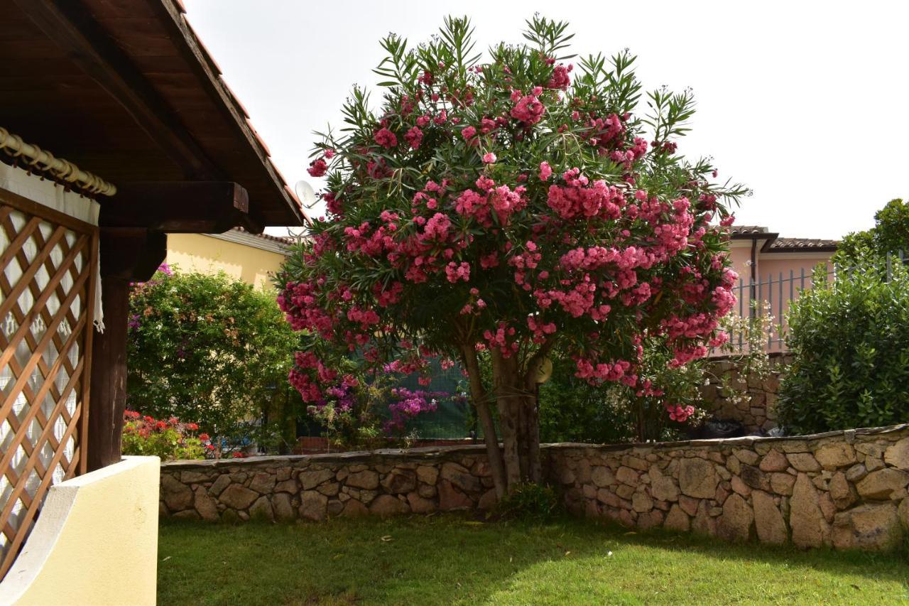 Splendida Villetta Tavolara 1 Vaccileddi Esterno foto